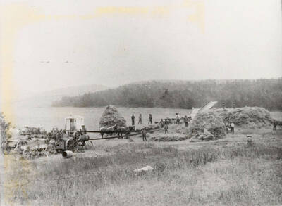 Harvesting grain in the ridge area, south of Deary, Idaho. Steam tractor in foreground. The grain was stocked for protection from the weather until the crew could move in. Steam tractor as source of power in foreground, threshing machine, half-hidden behind one of the stacks, and a large straw pile forming beside it at right.