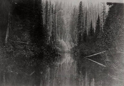 An unidentified forest stream. It resembles, and very likely is, the west fork of the Potlatch, somewhere in the canyon just below Wareen Meadows near Bovill.