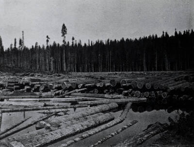 Log storage pond on the Potlatch River near Bovill, Idaho.