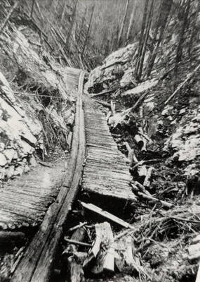 The logs commonly linked together by chain-tie 'dogs.' Several of these ran together with a shallow groove between parallel wooden timbers. A trickle of water often flowed here to provide lubrication.