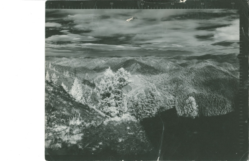 Panoramic images from the Lookout at Acorn Butte by Dan H LeVan Jr.