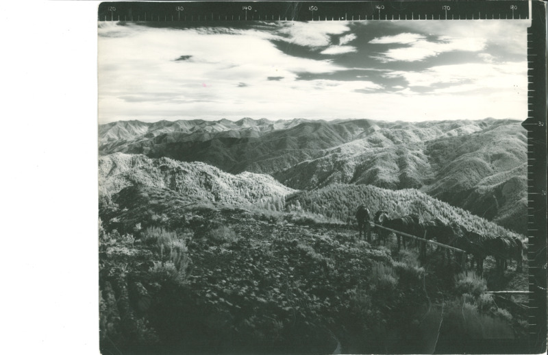 Panoramic images from the Lookout at Acorn Butte by Dan H LeVan Jr.