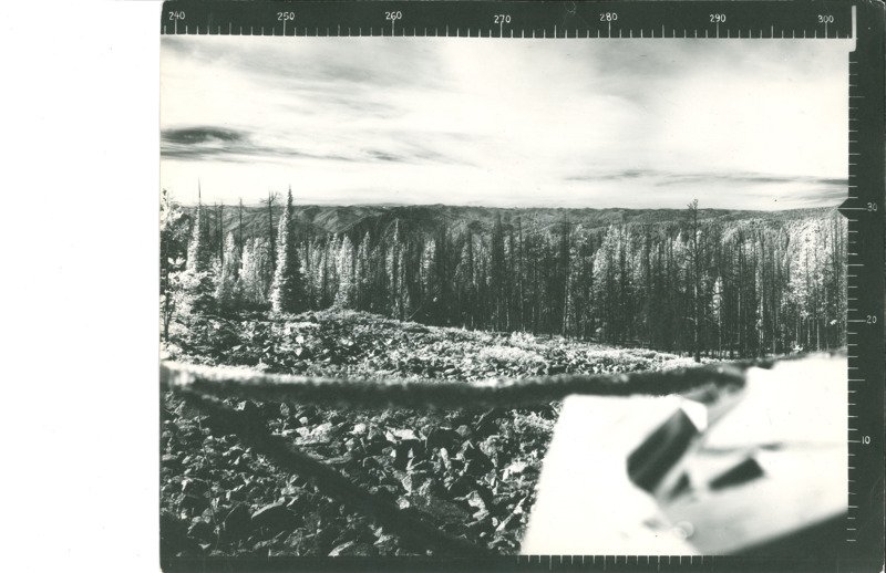 Panoramic images from the Lookout on Big Hill by Dan H LeVan Jr.