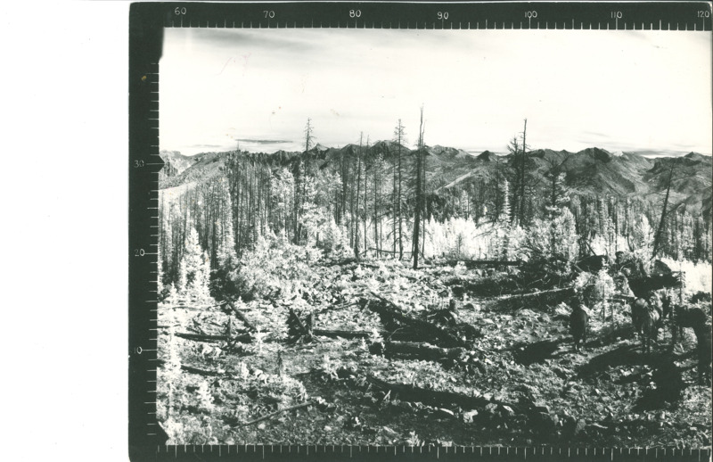 Panoramic images from the Lookout on Big Hill by Dan H LeVan Jr.