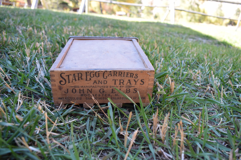 Star Egg Carriers & Trays from W.H. Bolles cooking trunk