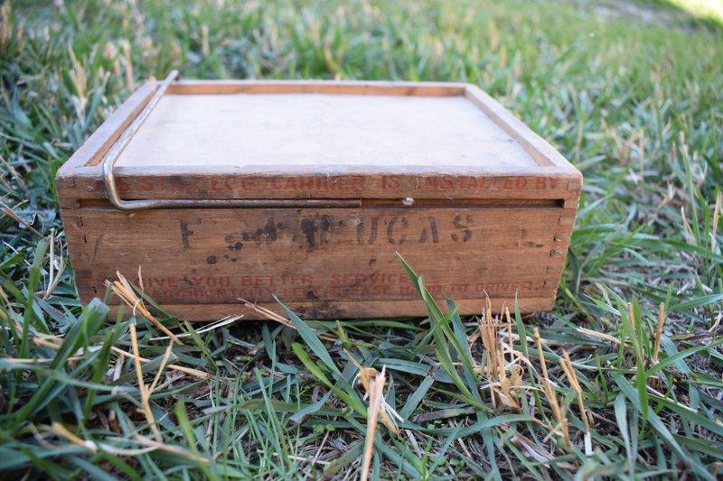 Star Egg Carriers & Trays from W.H. Bolles cooking trunk