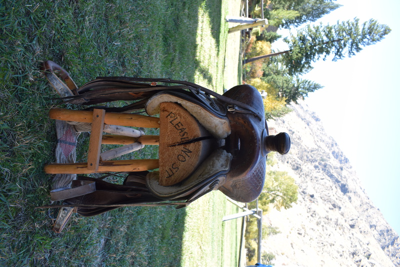 This saddle was custom made for Jess Taylor by the Hamley Saddle Co. in the 1930s. Donated by Dr. CC Johnson. Boise, Idaho.