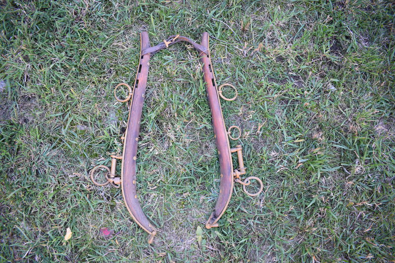 Mule Harness