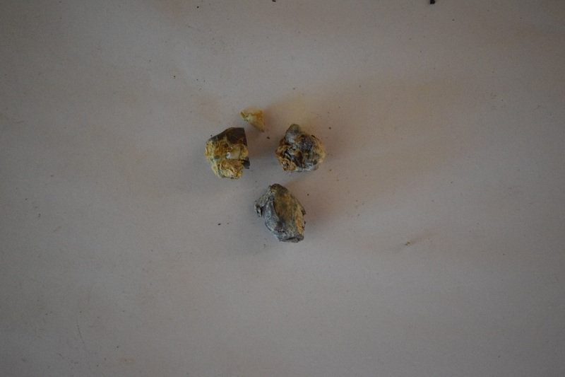 Musket Balls from the Sheepeater Campaign