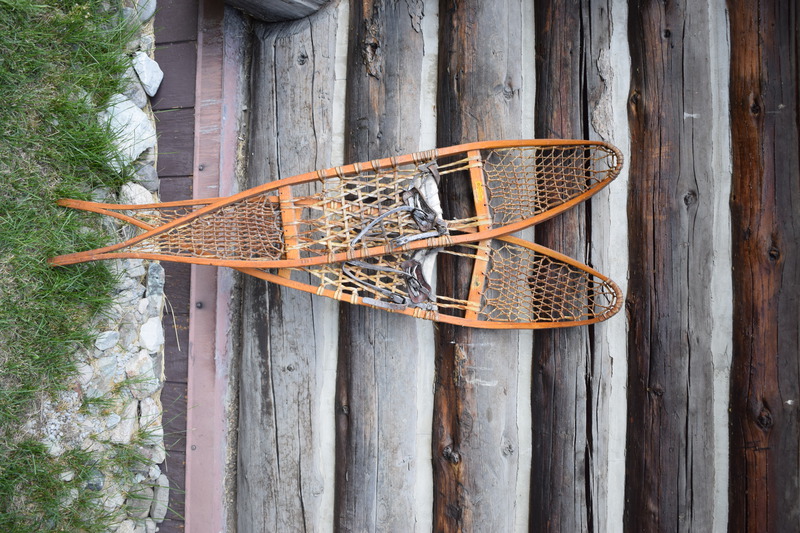 University of Idaho Snowshoes