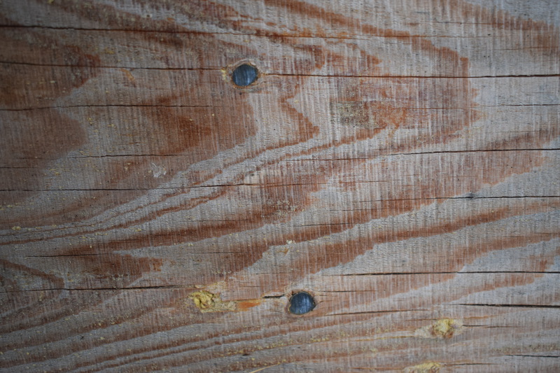 A tree once stood in front of the Dave Lewis Cabin. When it had to be cut, the tree was used to make boards. When planing down the planks, these bullets were found imbedded in the tree.