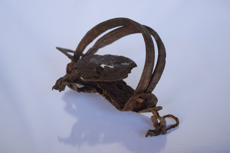 Hannah Wilson found this foot-hold trap near Beaver Spring along the Big Creek trail. It was most likely Dave Lewis or Jess Taylor's and used for trapping bobcats.