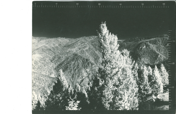 Panoramic images from the Lookout on Eagan Point by Dan H LeVan Jr.