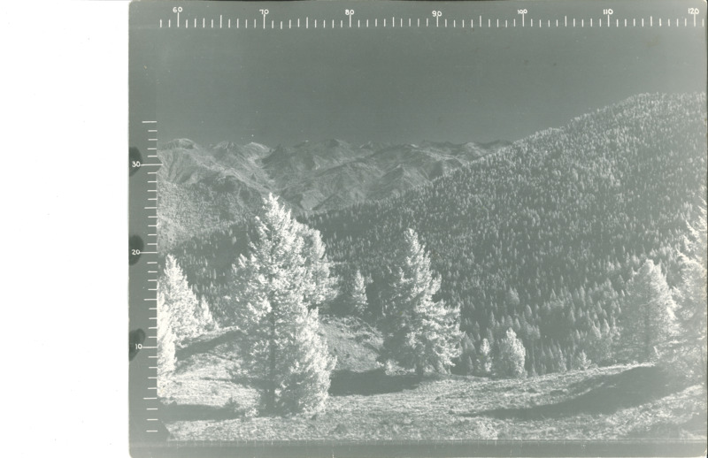 Panoramic images from the Lookout on Eagan Point by Dan H LeVan Jr.