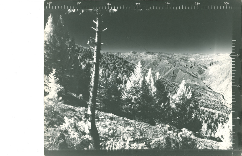 Panoramic images from the Lookout on Eagan Point by Dan H LeVan Jr.