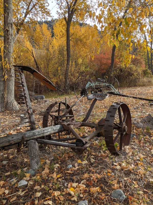 The mower and rake once used for haying the airstrip and pasture at Taylor Ranch. Both pieces of machinery were used with mules.