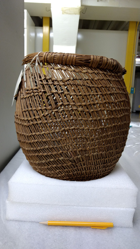 Photograph of a basket that was collected on Big Creek in 1879 by the Army surgeon, Timothy E. Wilcox, who amputated Harry Eagan's leg at Soldier Bar. He gave the basket to the Smithsonian in 1912 with another basket that they cannot locate. The accession notes say, "Tukuarika (sheep-eaters) Indian basket and basketry bread tray (54202)." If you zoom in close you can see where someone wrote "YUMA" on the basket, but this is incorrect; the basket was donated with some items from the Yuma tribe and someone incorrectly labeled it. Wilcox was with Captain Bernard's command and the only place they surprised the Dukudeka, where the Dukudeka had to leave things behind, was at Soldier Bar; this is probably where he found it.