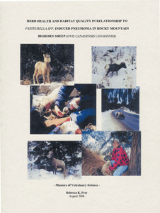 Herd health and habitat quality in relationship to Pasteurella spp. induced pneumonia in Rocky Mountain bighorn sheep (Ovis canadensis canadensis)