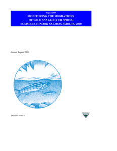 Monitoring the Migrations of Wild Snake River Spring/Summer Chinook Salmon Smolts, 2000-2001 (1281)