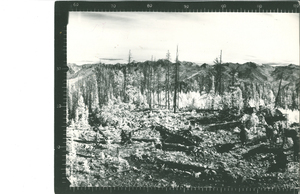 Big Hill Lookout Panoramic (246)