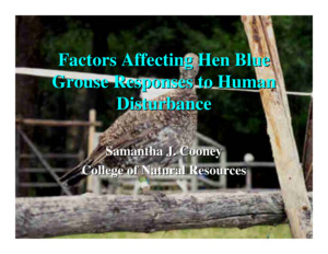 This presentation compares various studies on male blue grouse, focusing on factors like observability, reactions to human intrusion, and differences in movement patterns between populations.