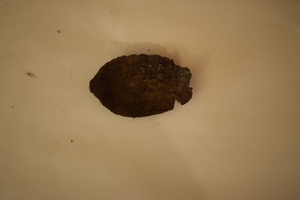 The trail along Big Creek used to be impassable through the Gorge. People traveling east towards the Middle Fork of the Salmon used to travel up Pioneer Creek and over the mountains. These items were found at an old campsite. Many of these types of items were found after the Diamond Complex fire in 2000