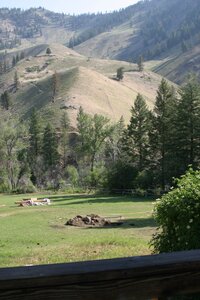 The Northwest corner of the cabin site.