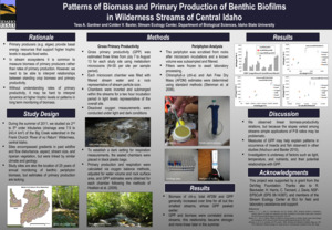 Patterns of Biomass and Primary Production of Benthic Biofilms in Wilderness Streams of Central Idaho