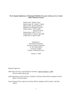 The Ecological Significance of Mountain Whitefish (Prosopium williamsoni) in a Central Idaho Wilderness Stream