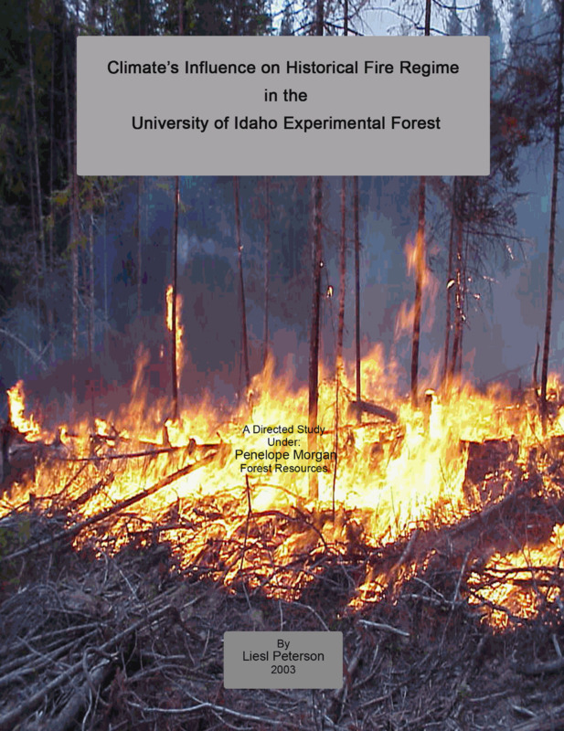 In this undergraduate senior thesis project, Liesl Peterson is investigating the fire history of the University of Idaho Experimental Forest and exploring climate as an important factor in this history. Liesl is crossdating fire-scarred samples from recently logged stumps and older stumps to determine fire years on two sites in the U of I Forest. These two sites, the south-facing slopes of Basalt Hill and Leef's Hill, are approximately 4 km apart and each in a different Experimental Forest Unit. The fire histories for the sites will be compared to one another to determine notable "fire years" in this area. These synchronous fire events will then be compared to historical drought data to determine the correlation between major fire years and drought in this area. The results of this study will hopefully aid the Experimental Forest managers with their decisions regarding fire management, such as fuels, management, prescribed burn frequency, and fire suppression. The data from this project will also be incorporated into a much larger study by Penelope Morgan and Emily Heyerdahl investigating climate as a fire driver in the Northern Rockies.
