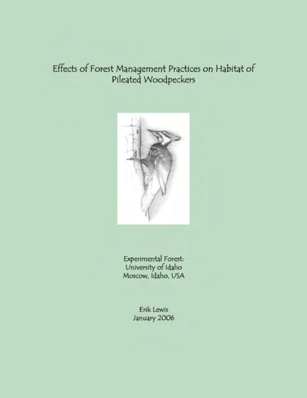 The purpose of this study was to examine the effects of timber harvesting on habitat that is used by pileated woodpeckers (Dryocopus pileatus) on the University of Idaho Experimental Forest. There was a concern that the population may be declining due to the required habitat being reduced by forestry activites. The main objective of this study was to compare the presence of woodpecker sign in an area of "typical" timber harvet to the presence of sign in an area of mature forest.