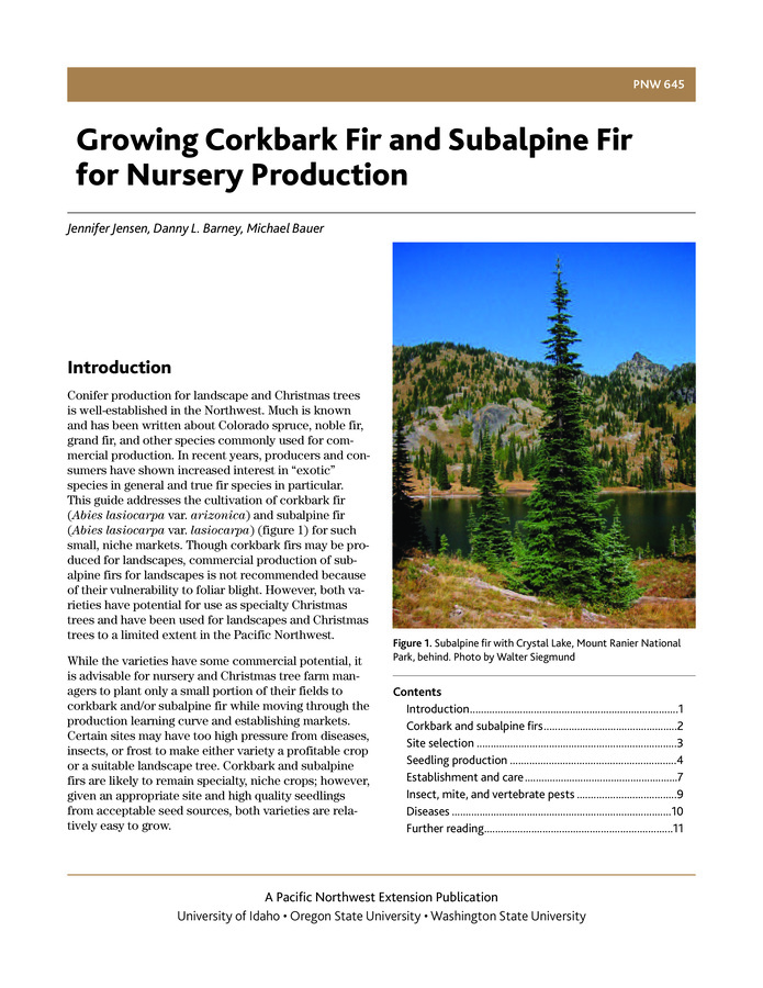 Explores the cultivation of corkbark fir and subalpine fir for use as landscape (corkbark fir only) or Christmas trees. Topics covered include site selection, seeding production, tree establishment and care, and pest management. Recommendations draw from research trials conducted at the University of Idaho Sandpoint Research and Extension Center. 11 pp.