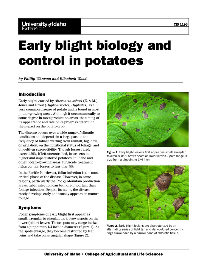 With a focus on Idaho conditions, this publication describes the symptoms and disease cycle of early blight in potatoes and recommends control measures including cultural control, resistant cultivars, and chemical control. Includes color photos of the disease caused by Alternaria solani and an illustration of the disease life cycle.