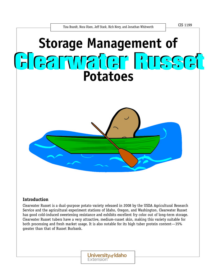 This publication describes optimal storage conditions for Clearwater Russet potatoes based on three years of research at the University of Idaho Kimberly Research and Extension Center. Clearwater Russet's behavior in storage is compared with that of Russet Burbank.