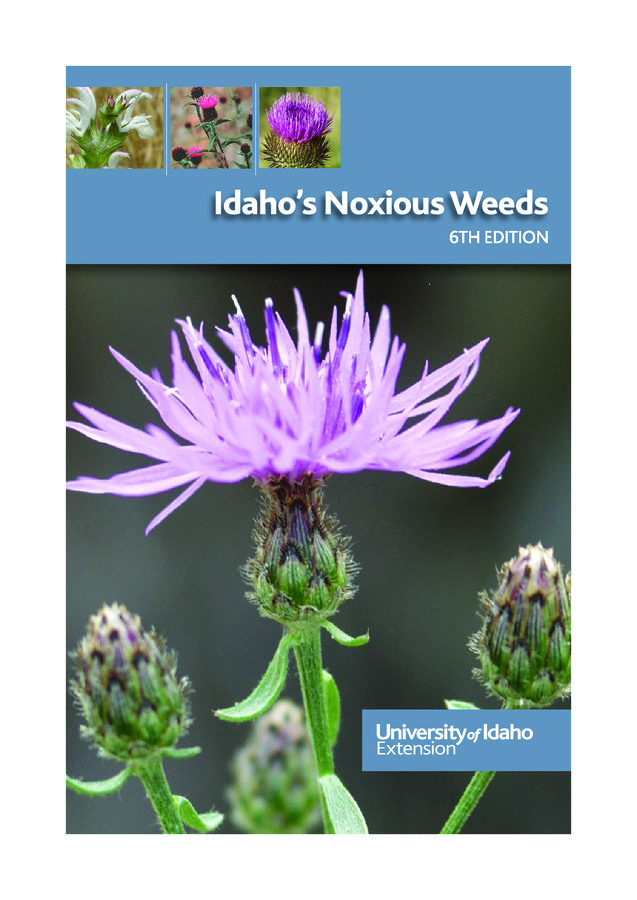 This pocket guide has color photographs of all 65 weeds on Idaho's official noxious weeds list. Inside find maps showing each weed's distribution by county, leaf shape illustrations to aid in identification, and features to help distinguish the weeds from similar-looking plants. 148 pages