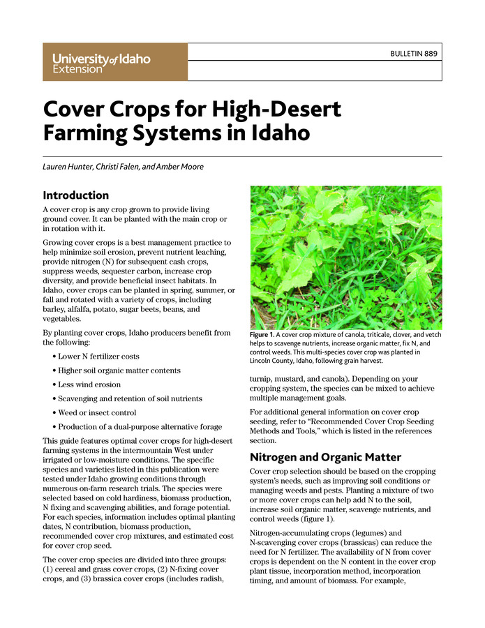 This guide presents optimal cover crops for high-desert farming systems in the intermountain West under irrigated or low-moisture conditions. Species includes were selected for cold hardiness, biomass production, N fixing and scavenging abilities, and forage potential. Color photographs. 8 pages.