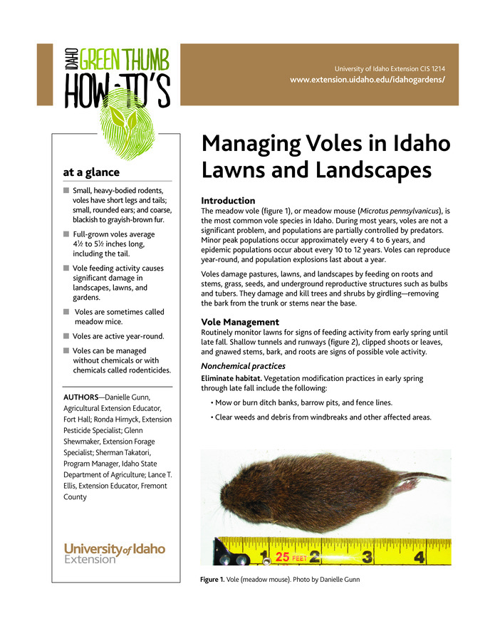 Voles can be managed without chemicals or with chemicals called ""rodenticides."" Nonchemical approaches include eliminating vole habitat, excluding voles from sensitive areas, and trapping. Toxic baits can be purchased from home-and-garden and farm-supply stores.