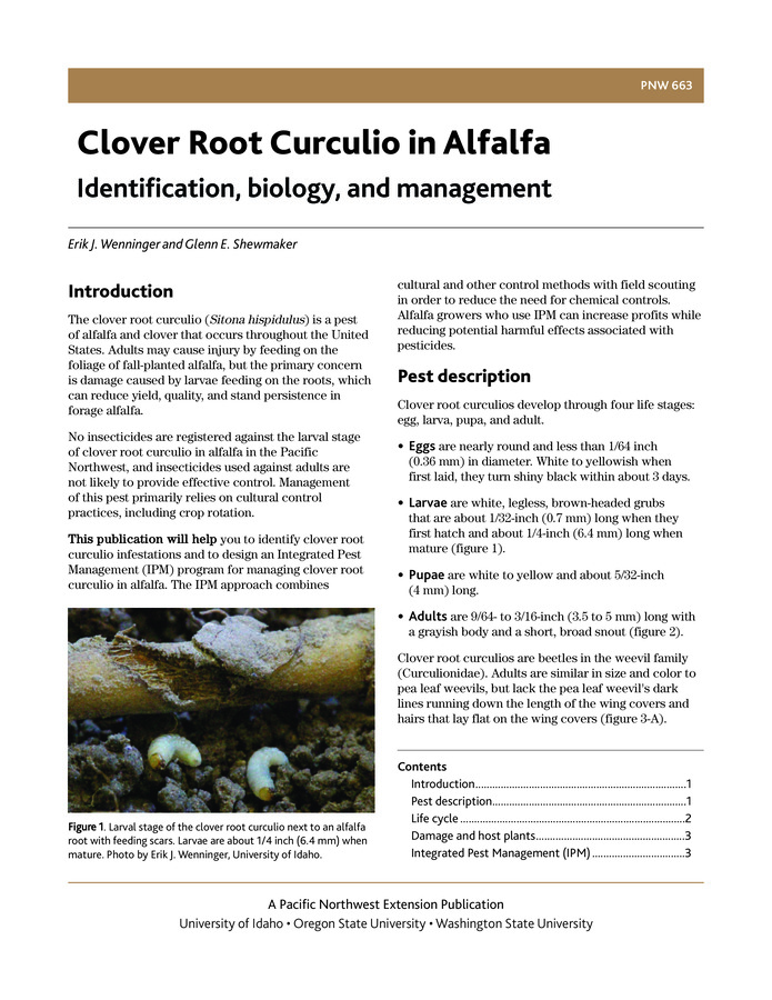 This publication helps growers in Idaho, Oregon, and Washington to identify clover root curculio infestations and to design and Integrated Pest Management (IPM) program for managing clover root curculio in alfalfa.