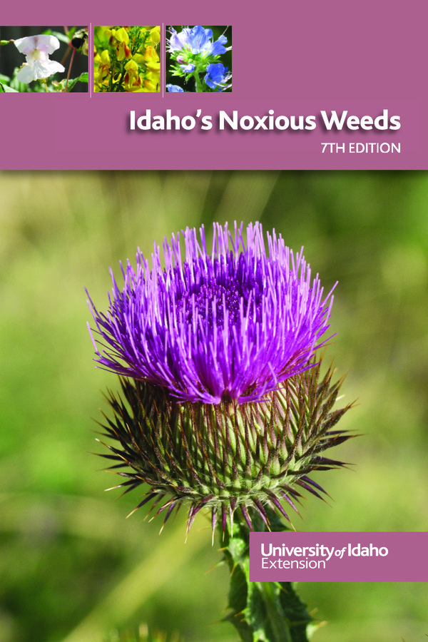 This pocket guide has color photographs of all the weeds on Idaho's official noxious weeds list. Inside find maps showing each weed's distribution by county, leaf shape illustrations to aid in identification, and features to help distinguish the weeds from similar-looking plants.