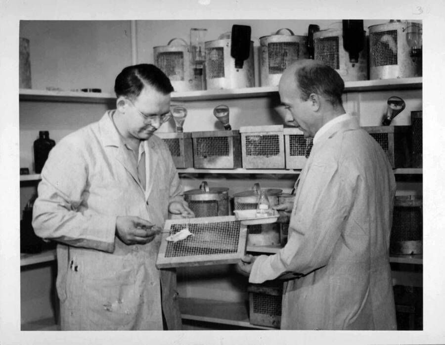 Dr. P. R. Moore (left) and Dr. A. C. Weise (right) standing together in a lab.
