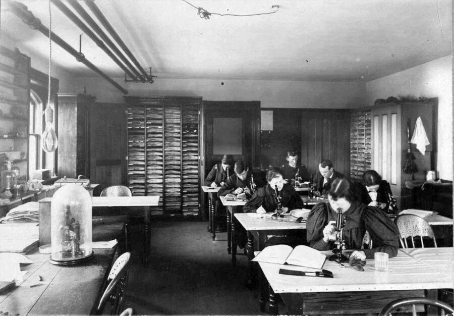 Left to Right: Claude Gibson;Clem Herbert; Kate Hanley; Gilbert Hogue; Tom Jenkins; Margret Scully; Clara Playfair. Students working during a freshman botany class.