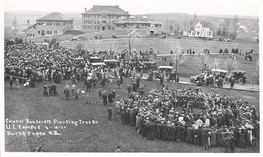 Crowd watching Theodore Roosevelt plant a tree on University of Idaho campus.