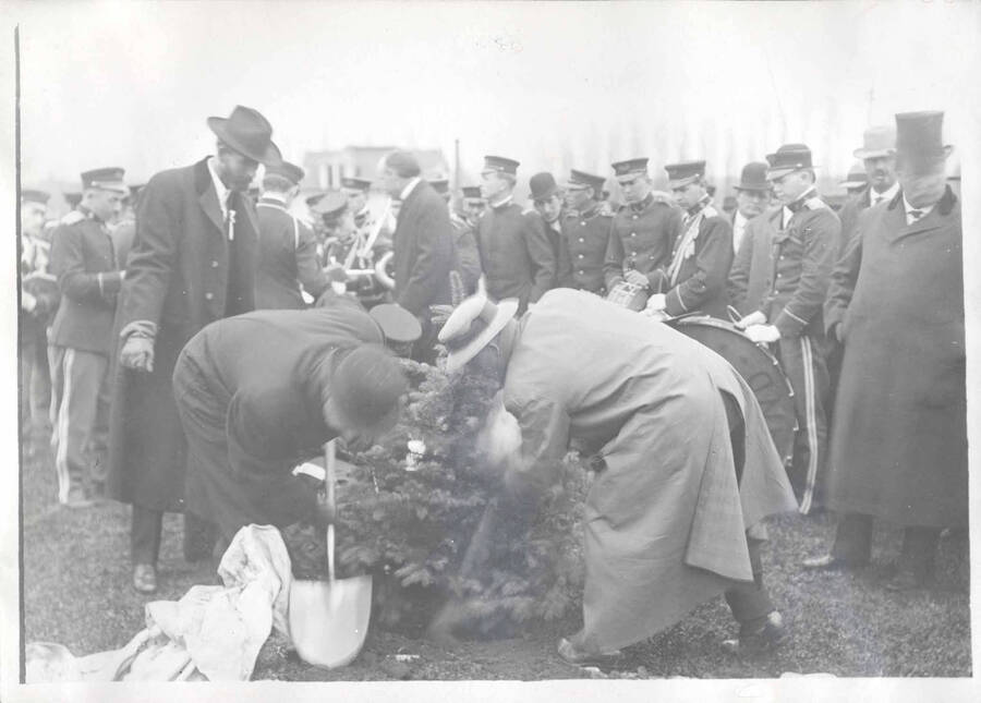 Theodore Roosevelt watches on as men finish planting the tree that he added to the lawn in front of the University of Idaho Administration Building.