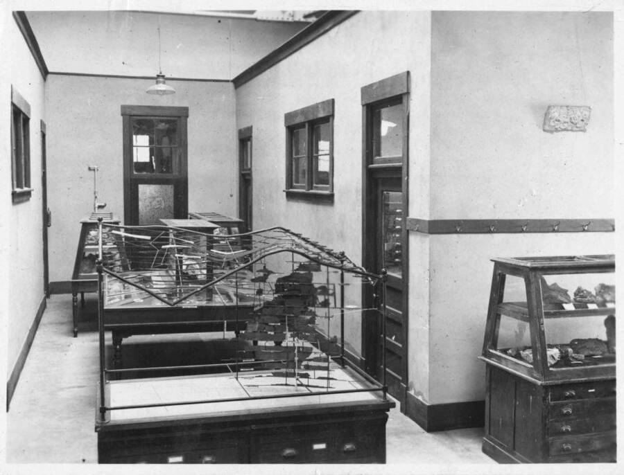 The Geological Museum inside the Geology Building.