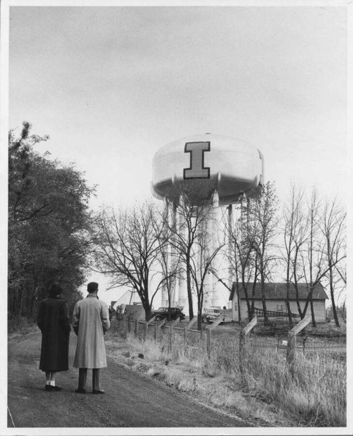 A man and a woman looking at the new I Tank tower.
