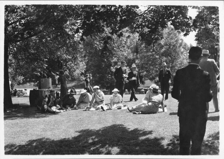 People picnicking during the outdoor commencement luncheon.