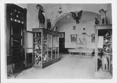 Administration Building, interior of entrance hall showing museum.
