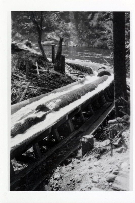 A picture of logging operations at Beaver Creek flume of Potlatch Forests, Incorporated.