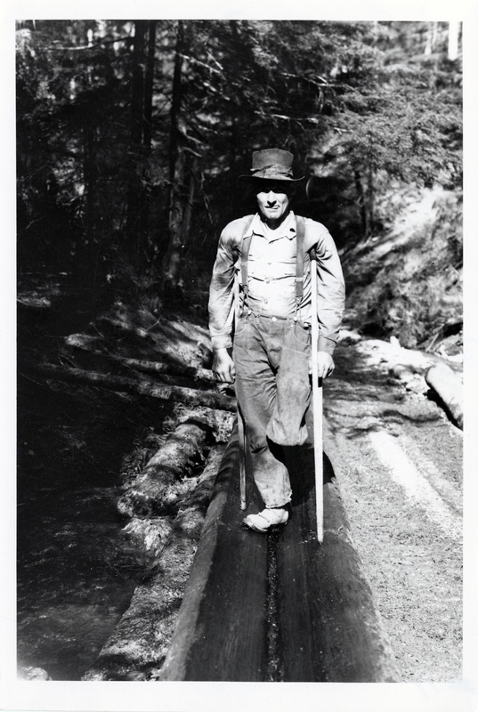 A lumberjack named Callahan, who worked for Ohio Match Company, standing in a log chute. The photo was taken at Burnt Cabin Creek in the Coeur d'Alene National Forest. The man's name was mentioned in a letter from Strong to Webb on May 4th 1970.