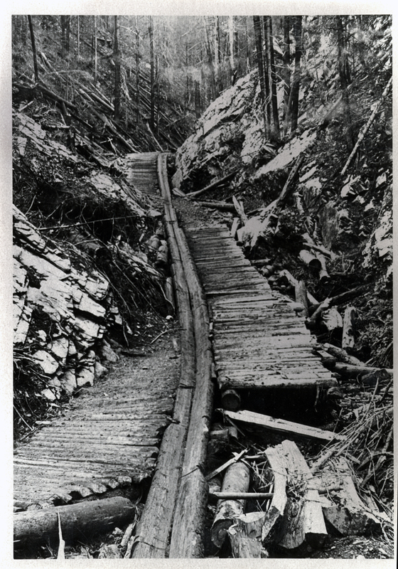 Typical log chute with tread for horses used in trailing, near Big Creek in the St. Joe River area. Courtesy of St. Maries Gazette-Record.